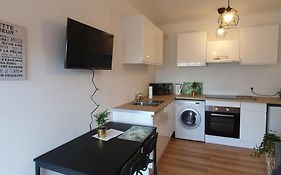 Charmant T2 Avec Grande Terrasse Quartier Jardin Massey